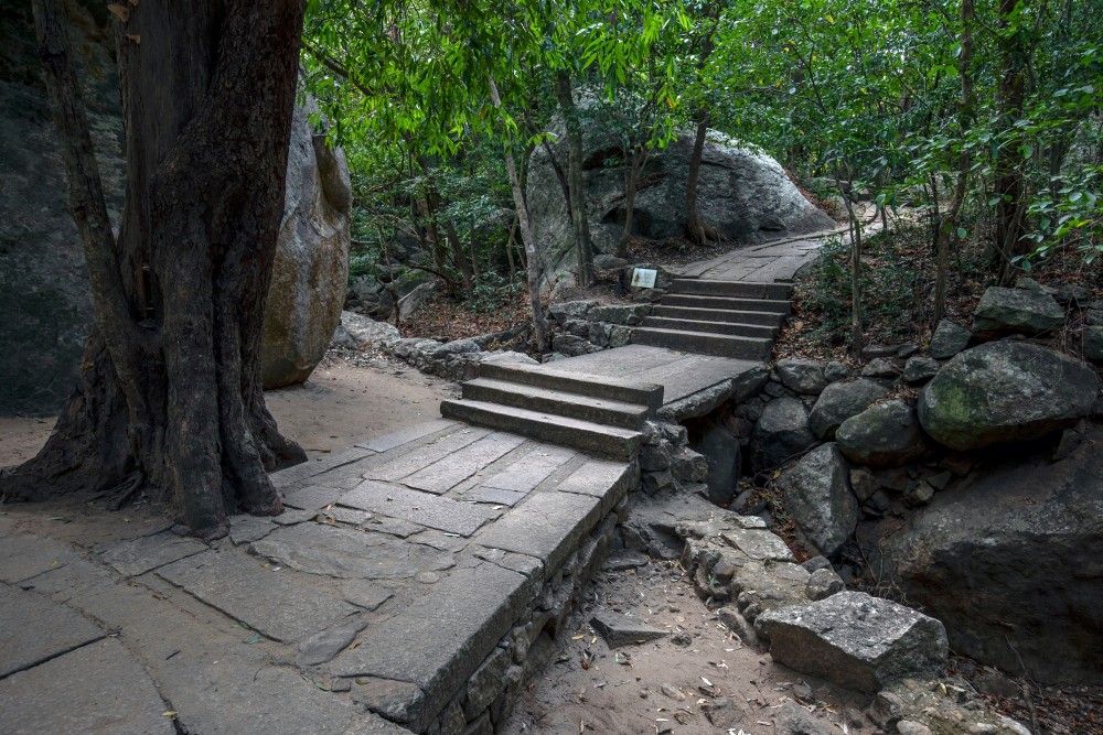Forest monastery meditations in ritigala